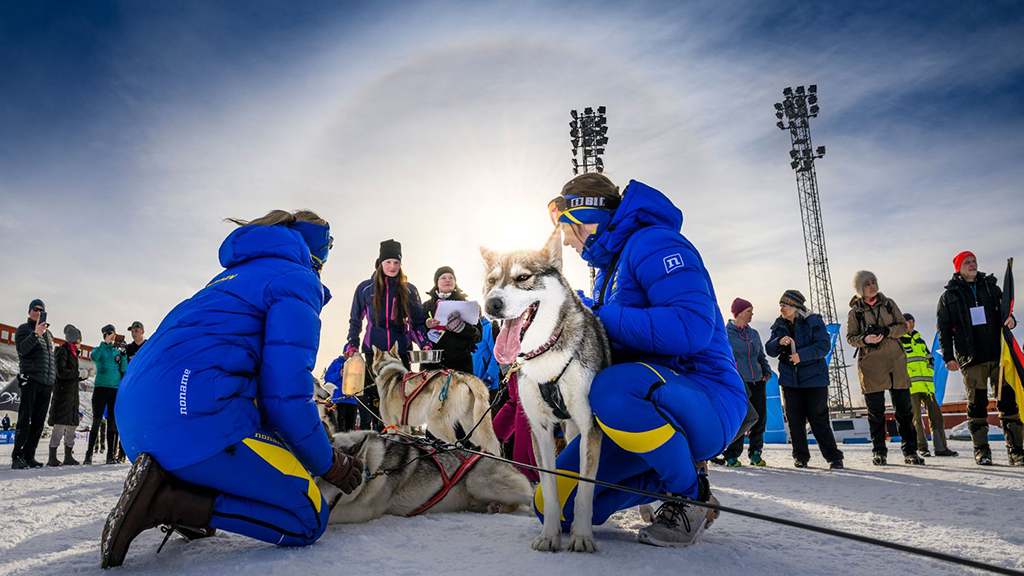 DraghundsVM återvänder till Östersund 2025 destinationostersund